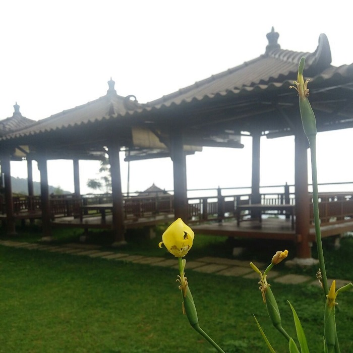 Pondok Lesehan Umbul Sidomukti.