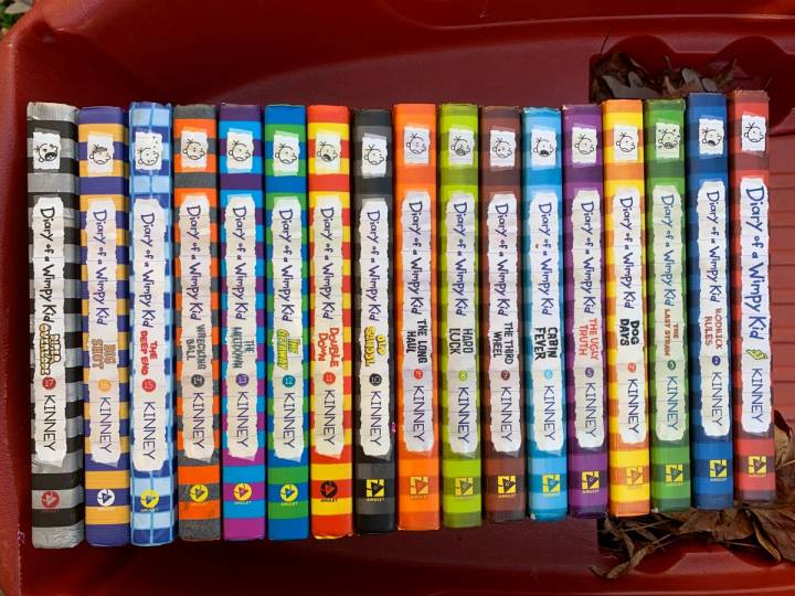 What is Diary of a Wimpy Kid: Book 20