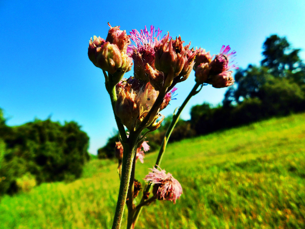 DSCN3094.jpg