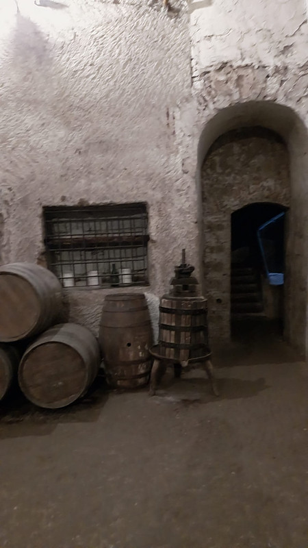 WhatsApp Image 2023-10-12 at 21.11.56 (1)