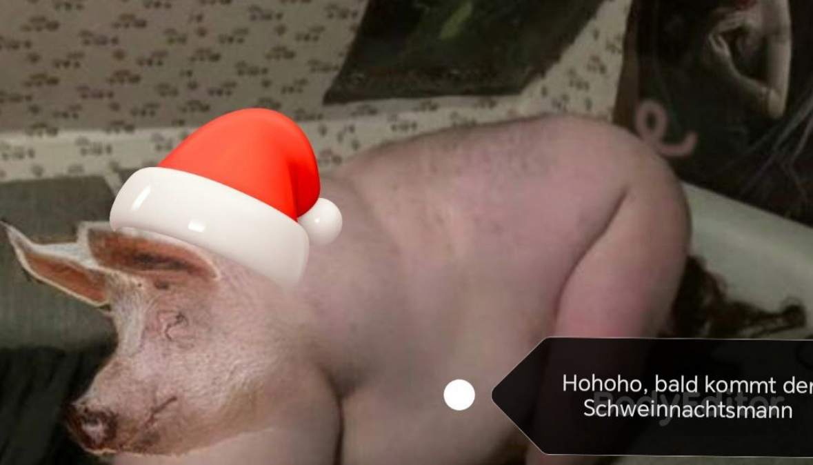 Bild-2023-12-01-175027160.png