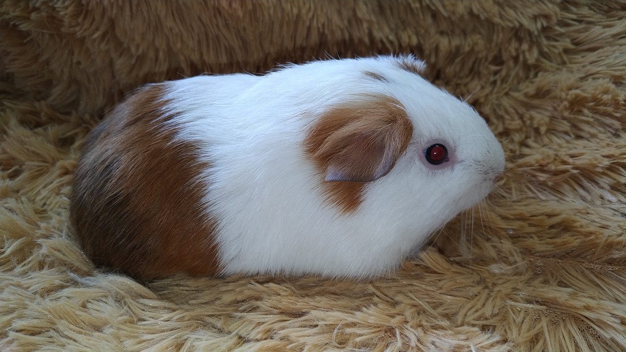 Img 20230629 140131 Postimages