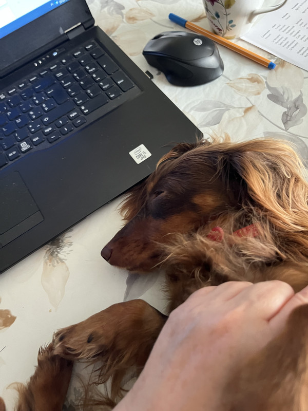 [Image: IMG-6530.jpg]