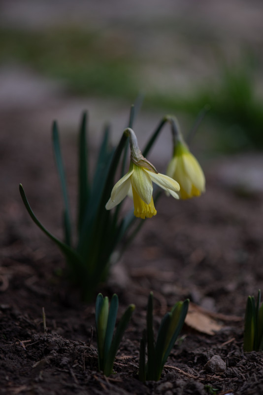 IMG-0c2c02eb70deb3f23872ecc940360944-V