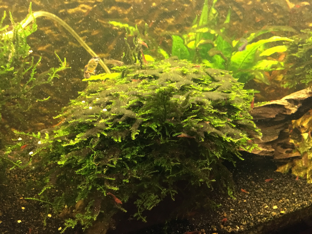 F5EFAE32-692F-49DE-A1BA-6A2AEEF26A28