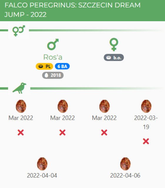 DREAM JUMP SZCZECIN Przechwytywanie-w-trybie-pe-noekranowym-03-05-2022-133454