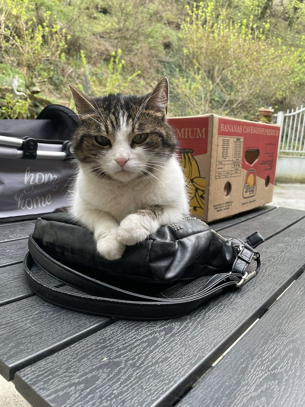 AC07ACF3-6AAD-4389-8374-098797E2F65A