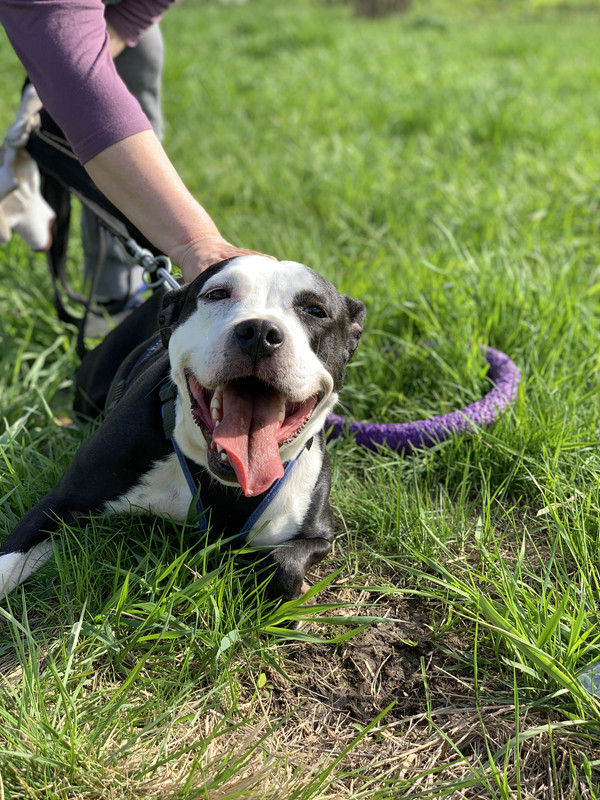 159C9CC3-912D-42F1-A1D0-5D375698ECF4