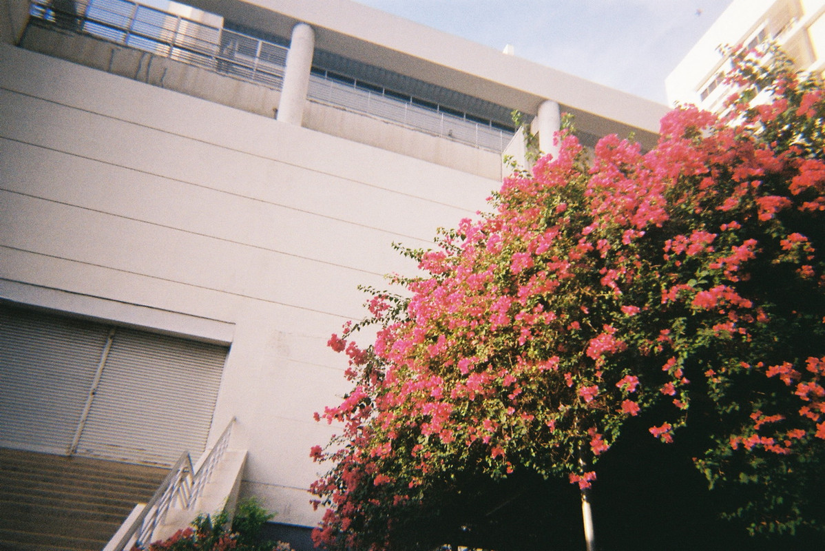 Kodak-Gold-60-resized