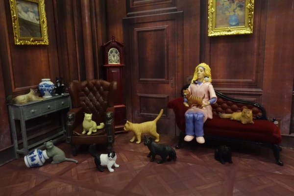 cats-1