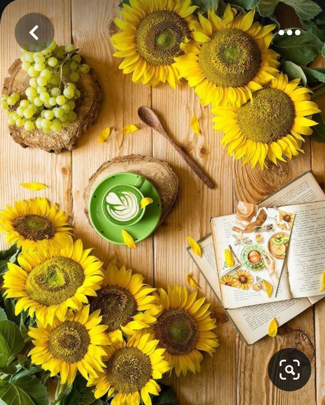 Screenshot_20230713_155247_Pinterest