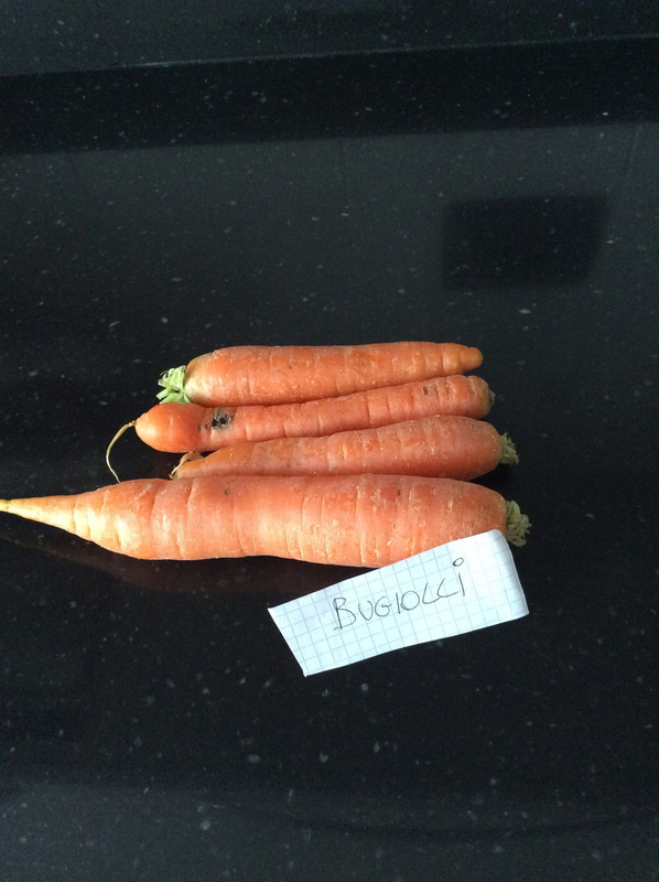 29E2CC6C-01E2-4092-88F2-CF2765C7303E