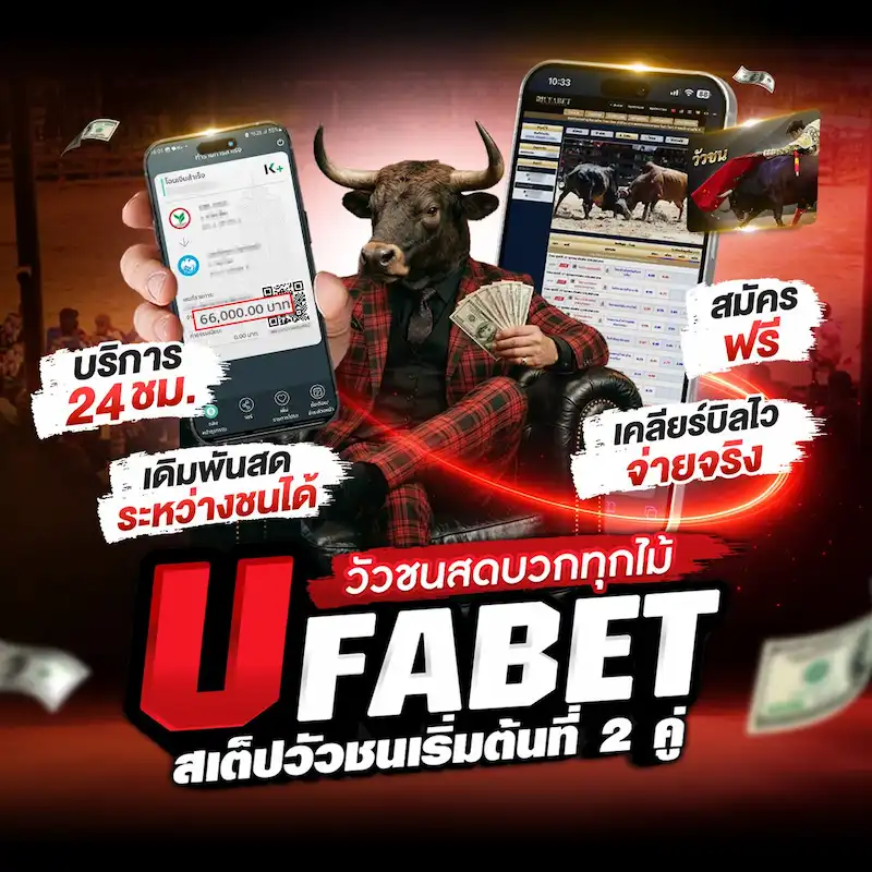 UFABET วัวชนสดออนไลน์