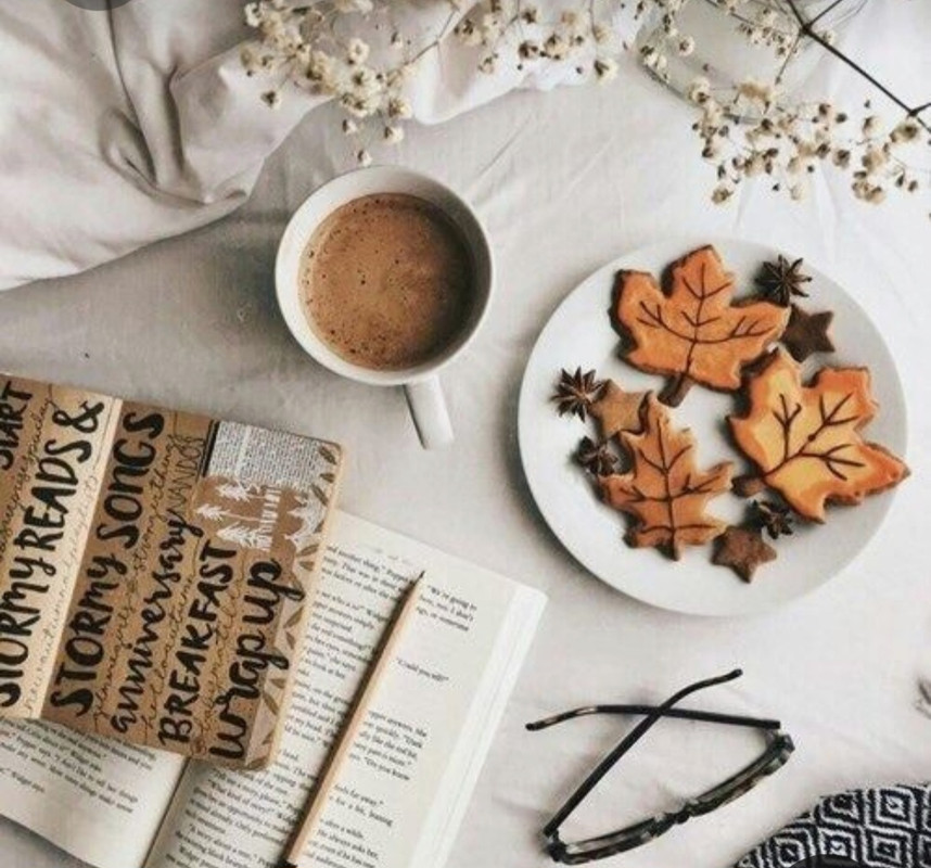 Screenshot_20230225_223656_Pinterest