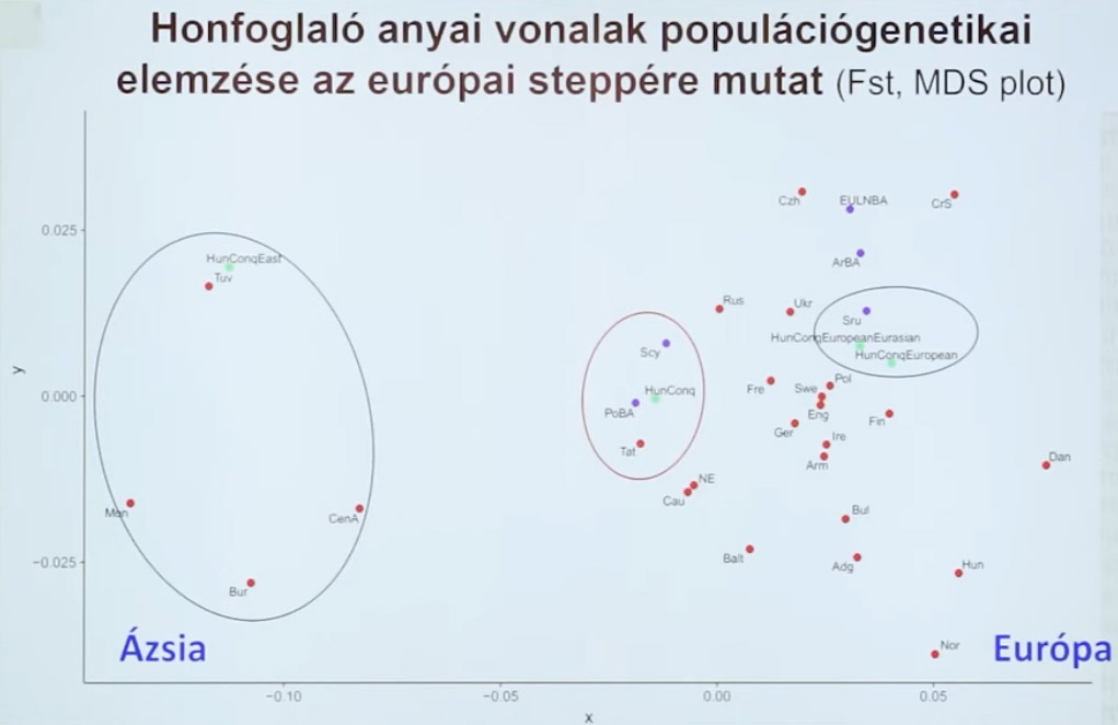 honfoglal-k-popgenetika-anyai.jpg