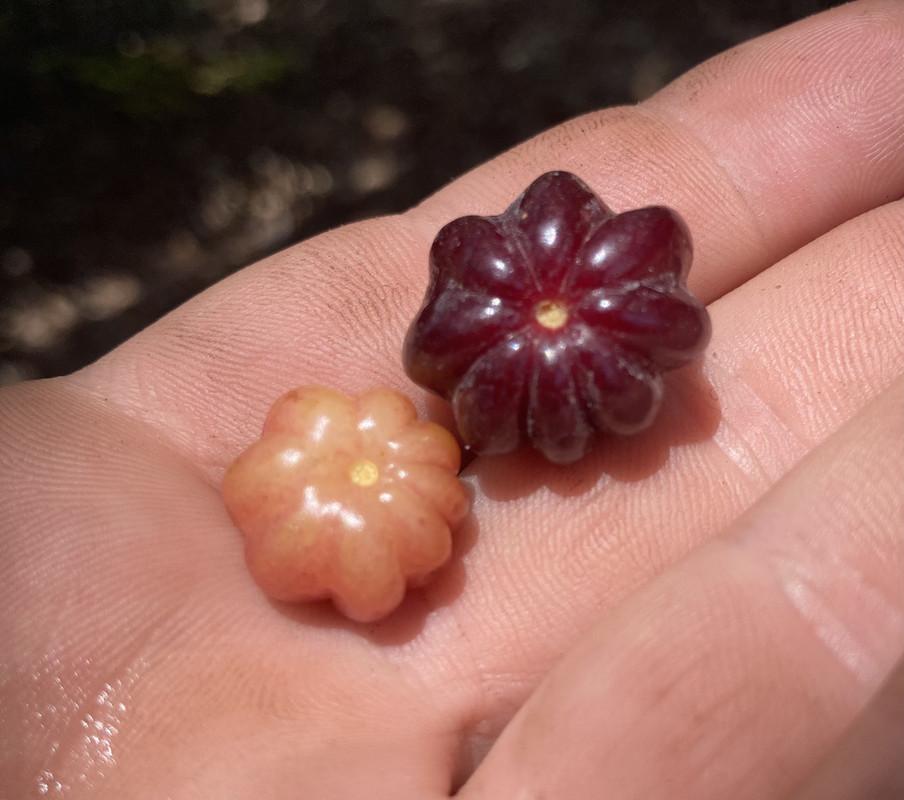 74D274E9-B974-4FCD-BB1F-FB98CB027BA1