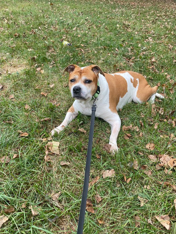 3FF6FAB4-734C-4AF1-BB4F-9C5A115DB7B9