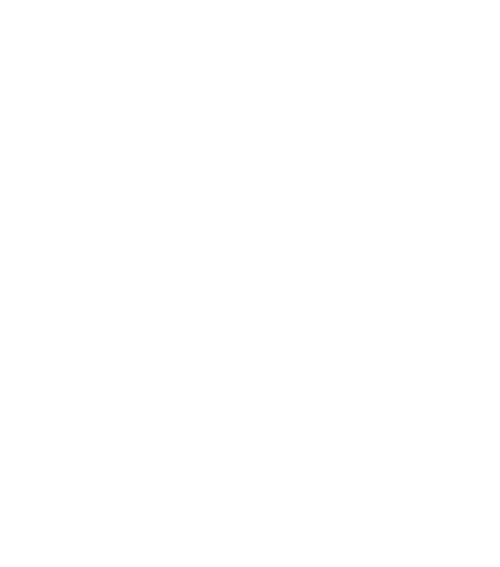 Fox Base Layer