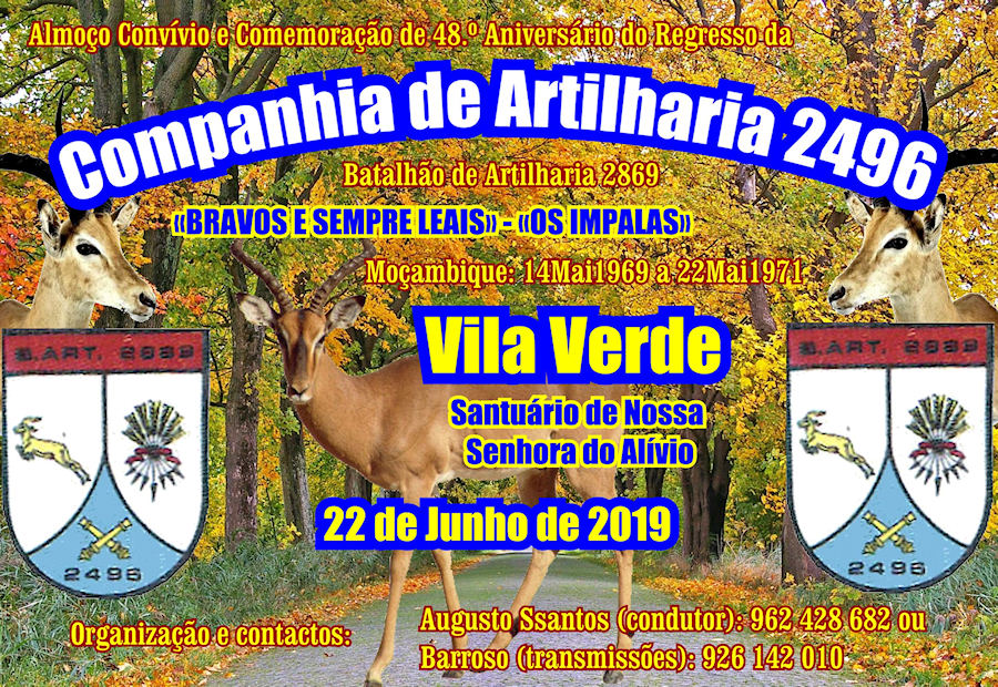 CArt2496-22-Jun2019-900