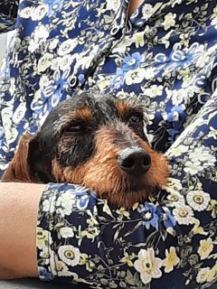 [Image: IMG-20200621-WA0012.jpg]