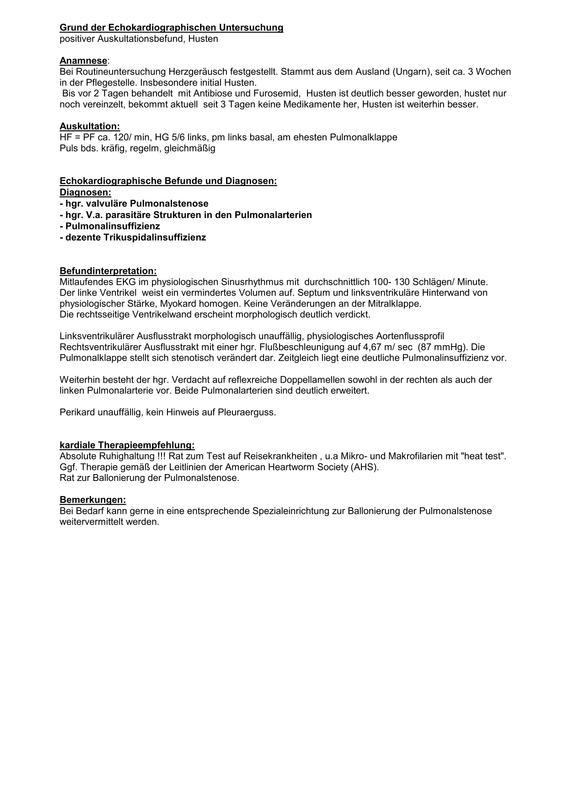 24651 FFormular (Tierärztl Bericht) 2