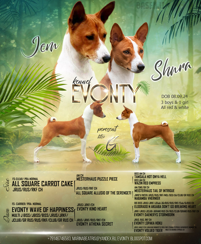 Джем и шура