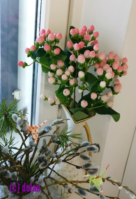[Image: IMG_20250405_070839.jpg]