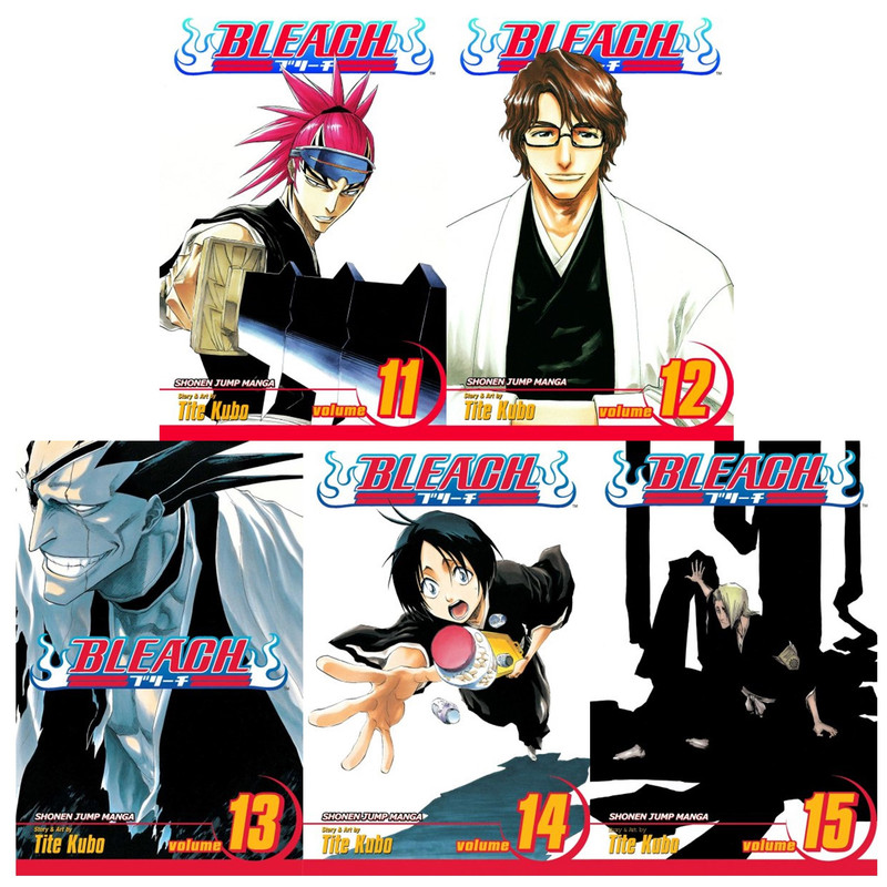 Bleach - volume 15