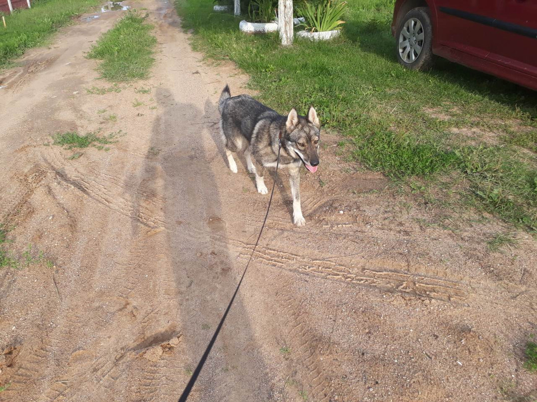 изображение_viber_2019-07-27_20-35-28