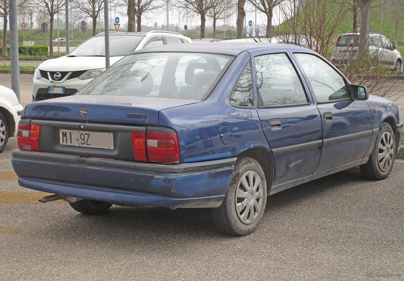 IMG-6754.jpg