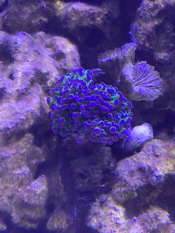 A7D04E06-E540-4307-95B2-5D9ABBEF1175