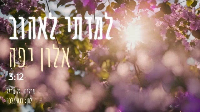 תמונה