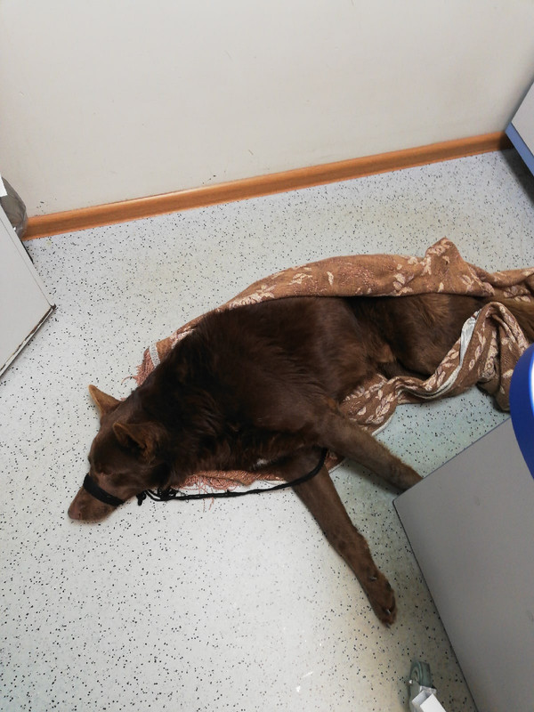 7B564429-6CBC-4DD7-A0AA-29C03678AE3E