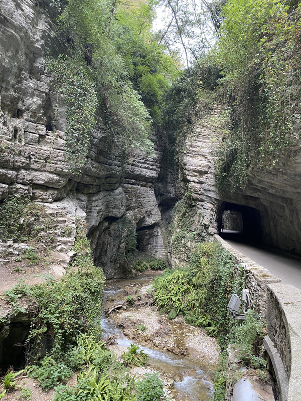 F56489DA-FFDB-4566-93AE-CE10ACD6C240