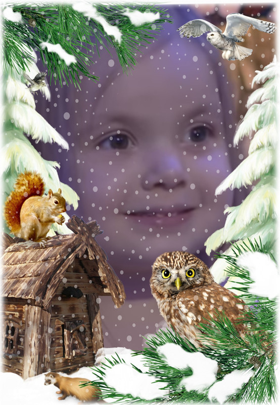 загружено (16)