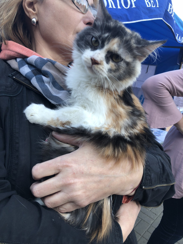 3B425895-9419-4EAE-92B5-7E4E9EBE8754