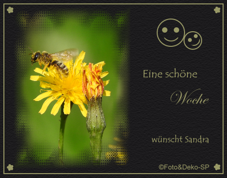 An den Beitrag angehängtes Bild: https://i.postimg.cc/xTfgMdLx/gbls01d.png