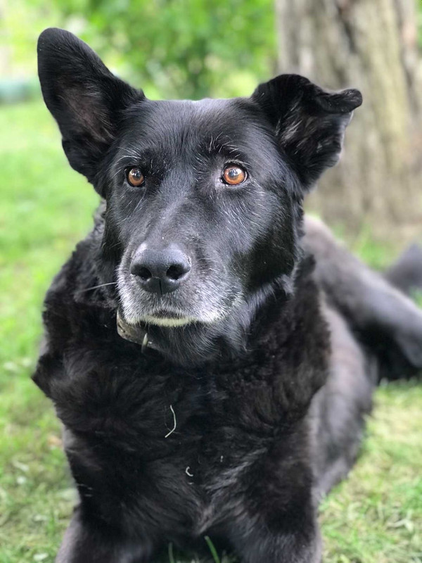 18973330-0302-416F-A1E8-C5A83FEF1A2C