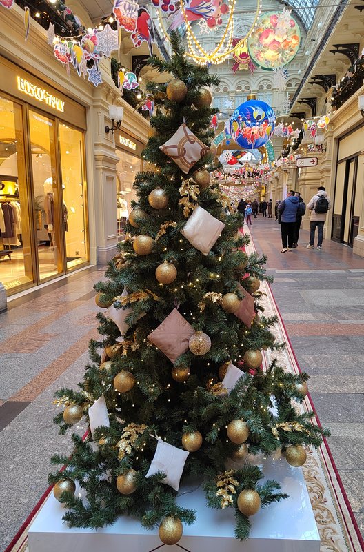 https://i.postimg.cc/xTgL9vzH/074-IMG-20231122-144809.jpg