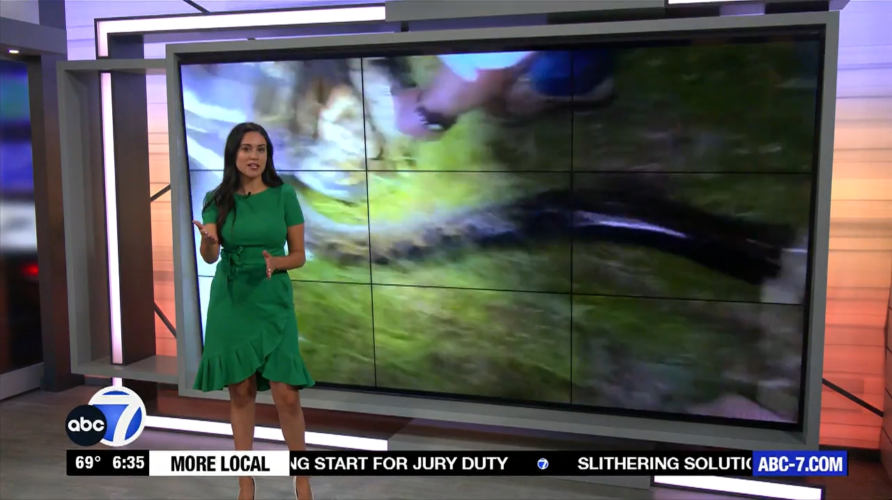 Abc7 More In The Morning Wkn 6Am Su 20240317 10001100-1.mp4_snapshot_32.01.574