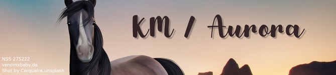 KM-banner.jpg