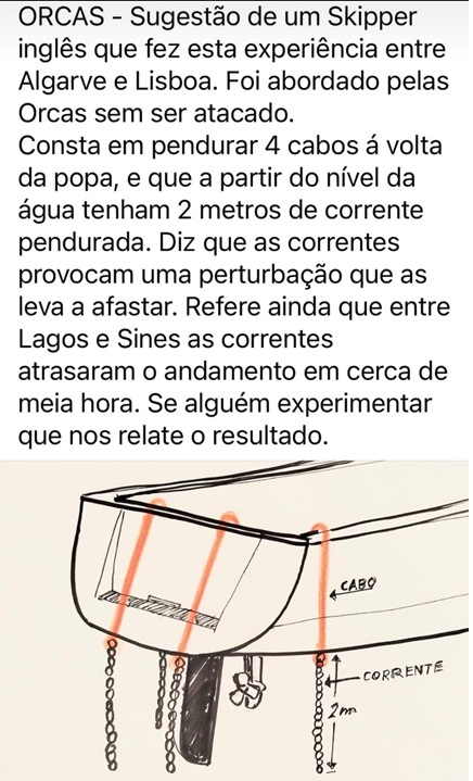 [Imagen: IMG-20251020-WA0006.jpg]