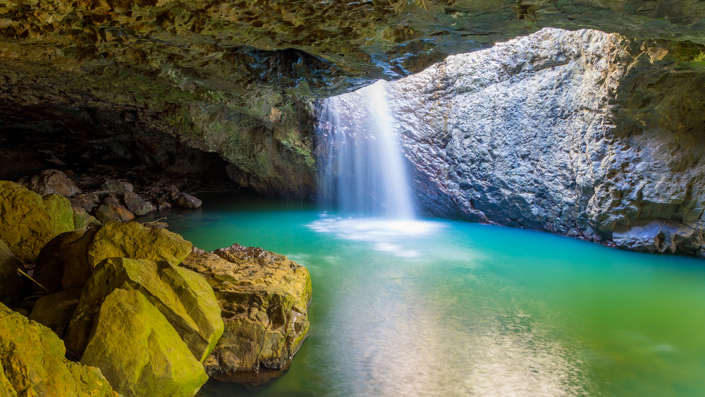 Springbrook National Park, Gold Coast How To Reach, Best Time & Tips