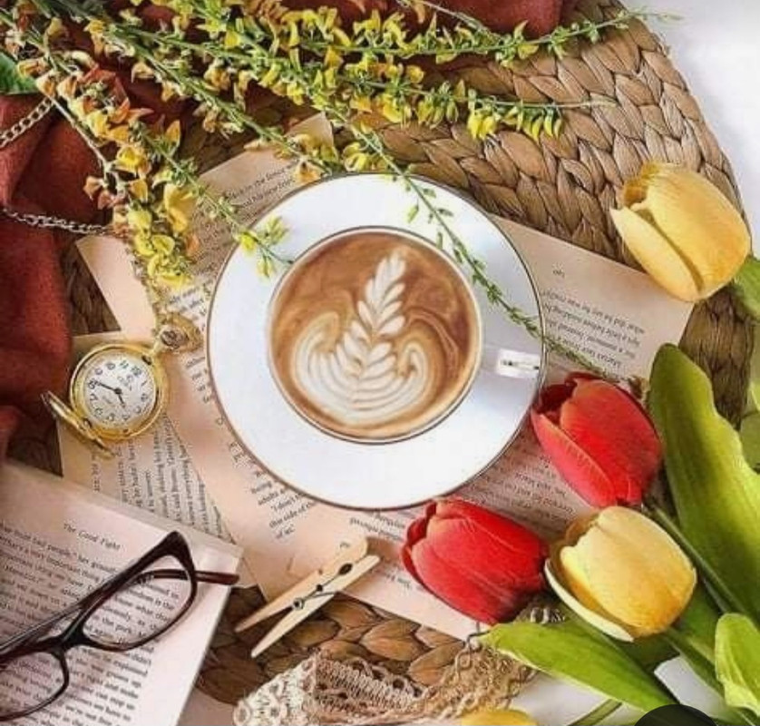 Screenshot_20230225_012916_Pinterest