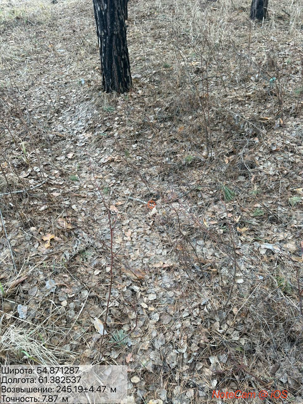 IMG 20260326 203956 999