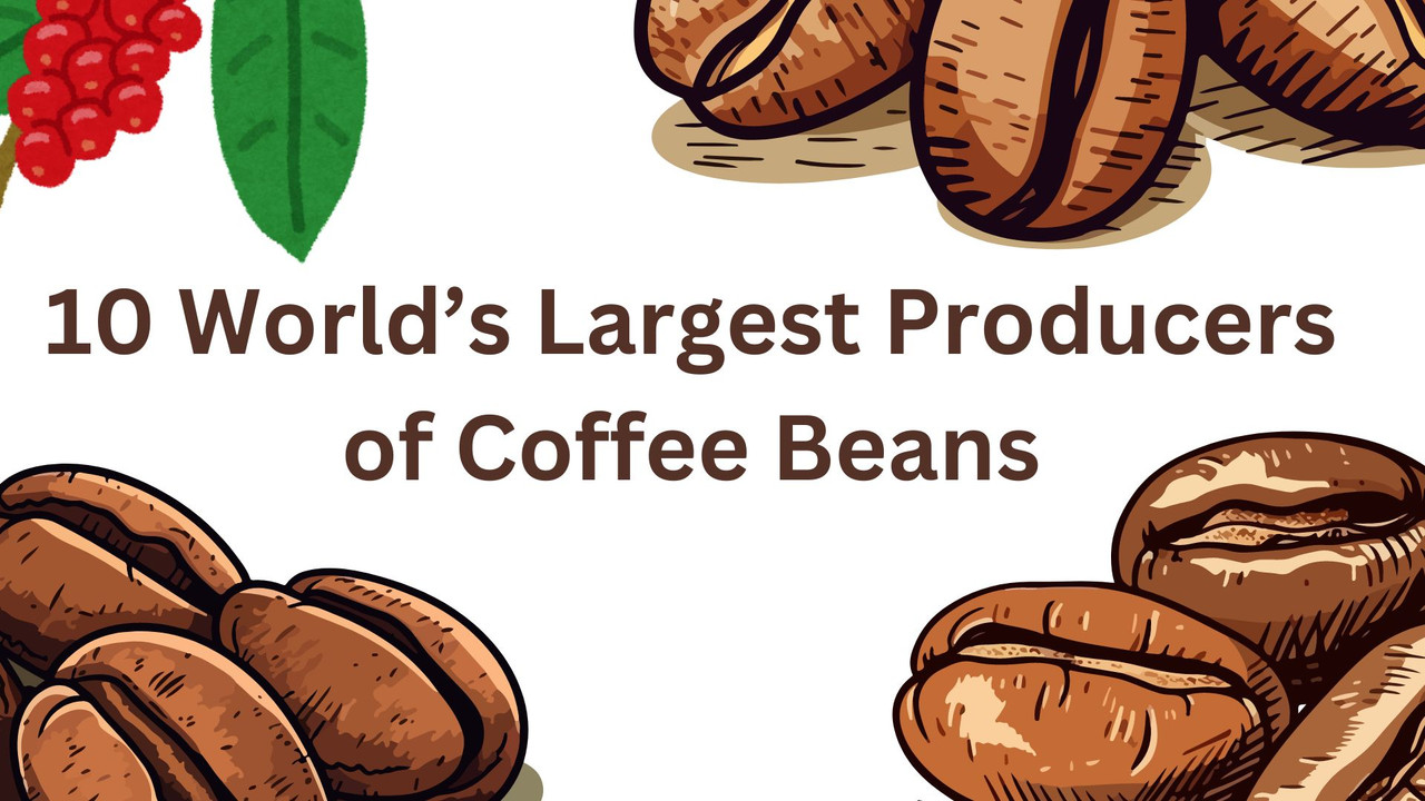 Most Coffee Beans Come From