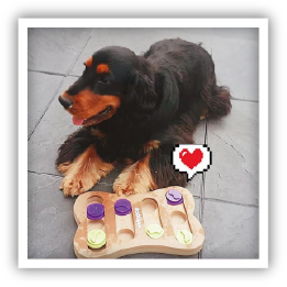 Site-Web-vignette-Instagram-Jouet-os-25