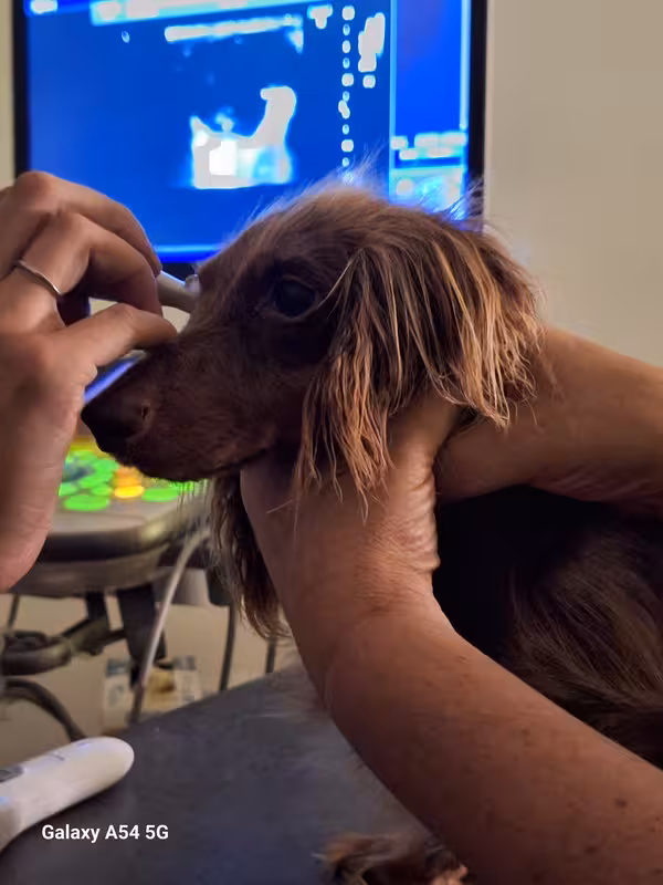 [Image: 20240924-150036.avif]