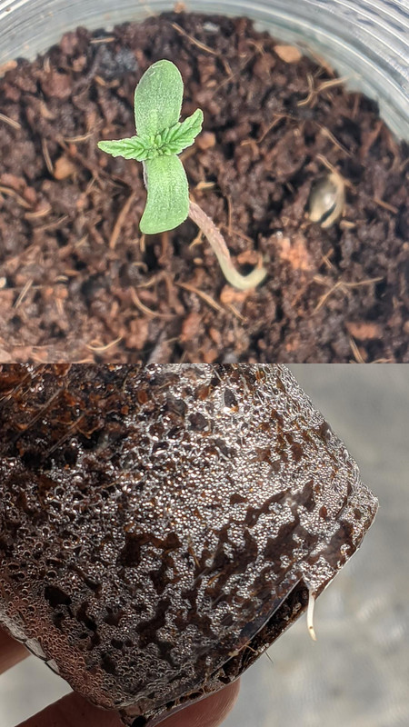 IMG_20230108_075735_042