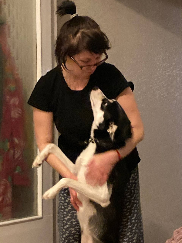 D254B012-ED1D-459C-98EF-80E0B36CF8B3